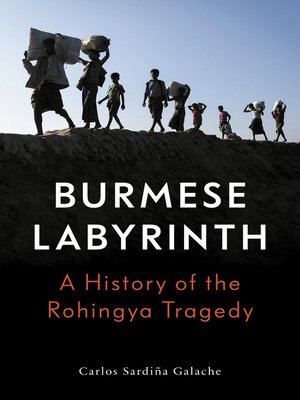 cover image of The Burmese Labyrinth